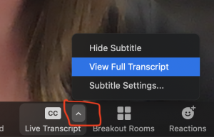 Arrow indicating additional subtitle and transcript choices in Zoom. View Full Transcript option is highlighted.